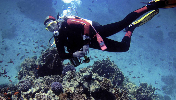 Egipto, país invitado en la Dive Travel Show 2012