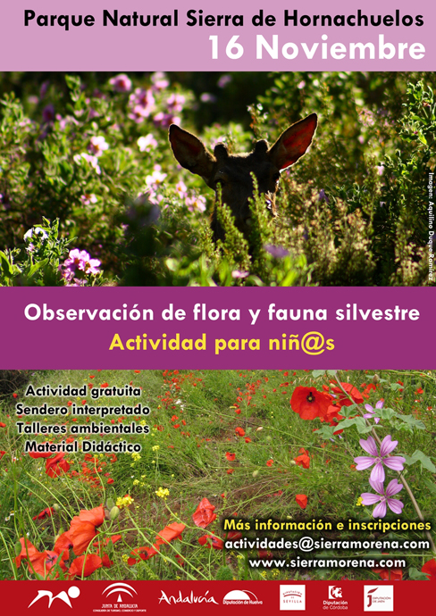 Actividades gratuitas en el Parque Natural Sierra de Hornachuelos. Córdoba