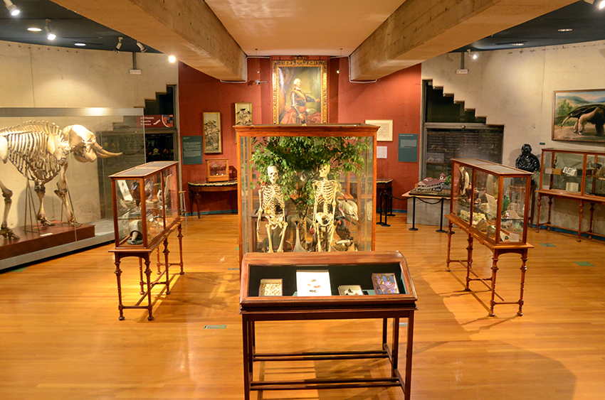 Comete el museo. Solo para adultos