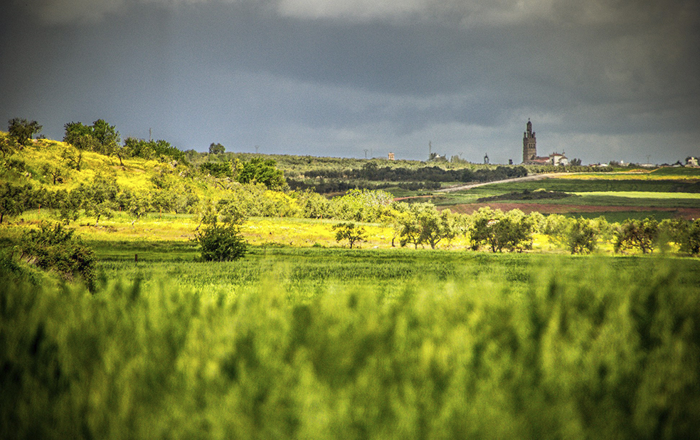La Ruta del Rey Jayón